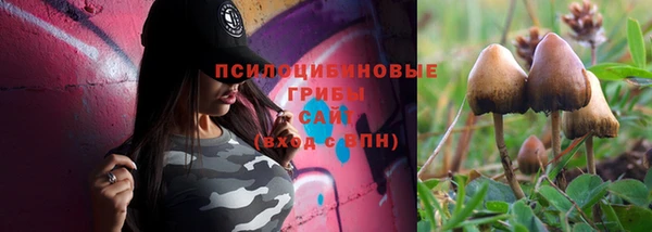 меф Белокуриха